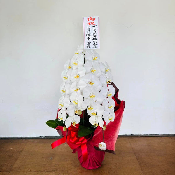 『まちふく防府』開所して3日目😊