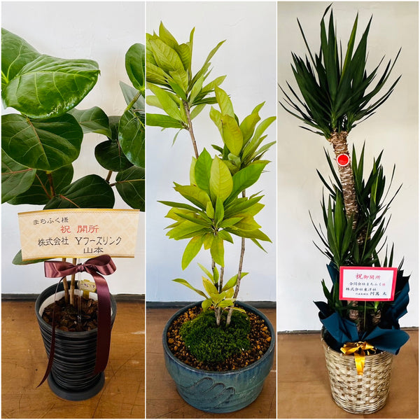 まちふく開所して1ケ月が経ちました😊