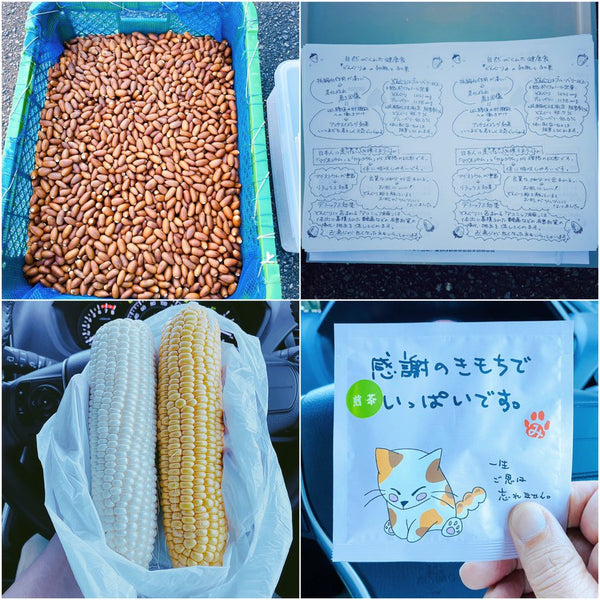 山内くんと在宅訪問🏠